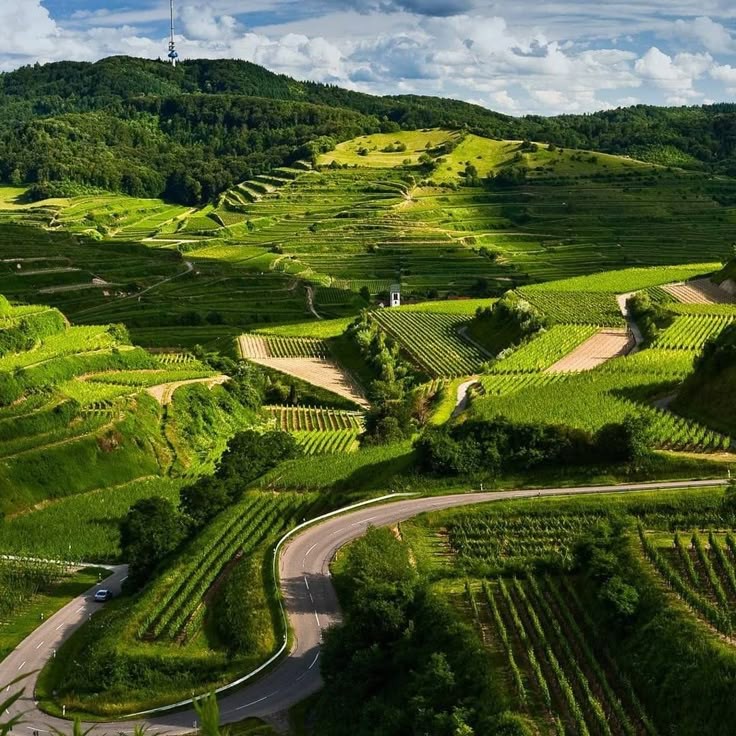 Top 10 Summer vacation spots in India